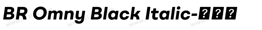 BR Omny Black Italic字体转换